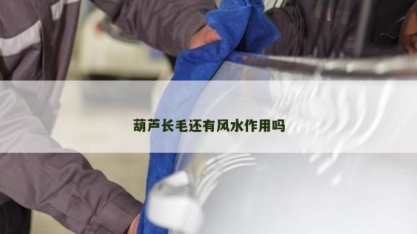 葫芦长毛还有风水作用吗