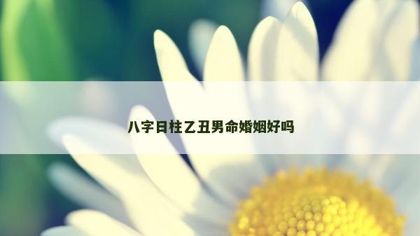 八字日柱乙丑男命婚姻好吗