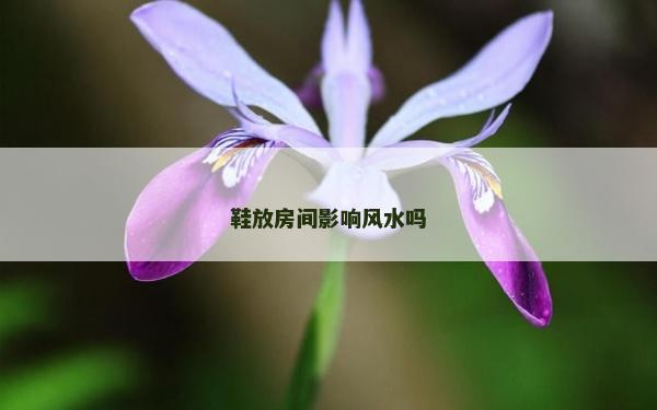 鞋放房间影响风水吗