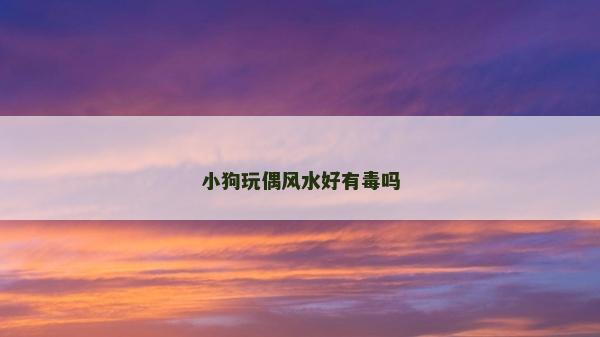 小狗玩偶风水好有毒吗