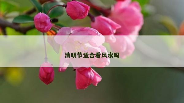 清明节适合看风水吗
