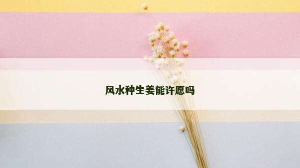 风水种生姜能许愿吗
