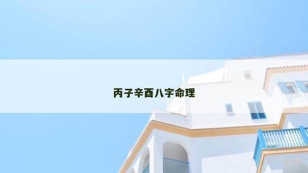 丙子辛酉八字命理