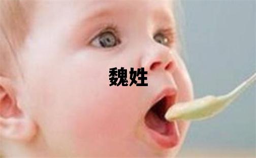 魏姓有含义的男孩名字