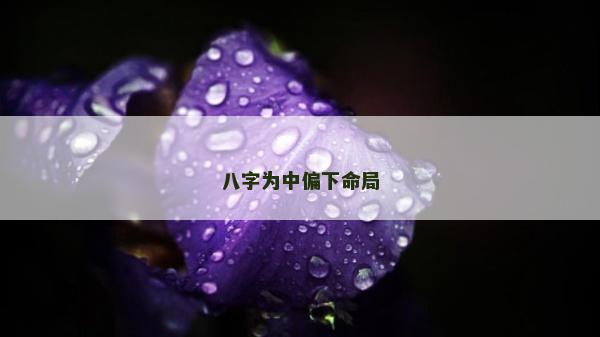 八字为中偏下命局
