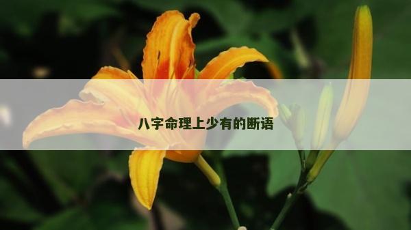 八字命理上少有的断语