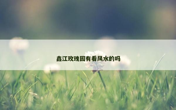 鑫江玫瑰园有看风水的吗
