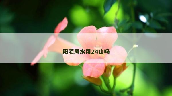 阳宅风水用24山吗