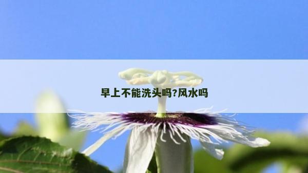 早上不能洗头吗?风水吗