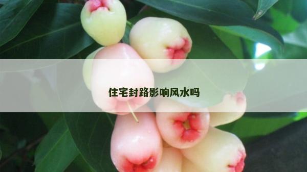 住宅封路影响风水吗