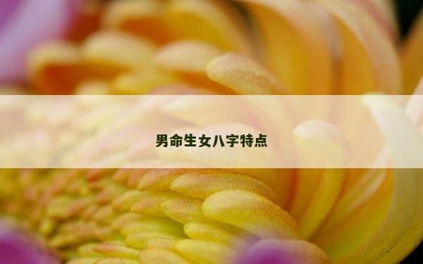 男命生女八字特点