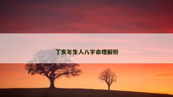 丁亥年生人八字命理解析