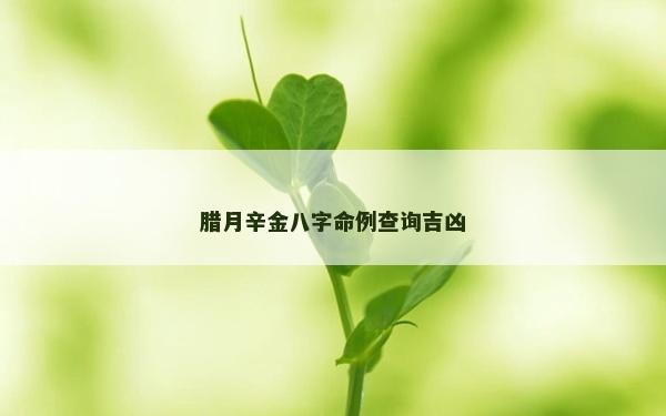 腊月辛金八字命例查询吉凶