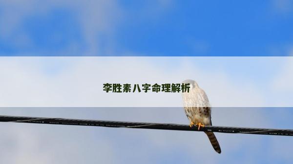李胜素八字命理解析