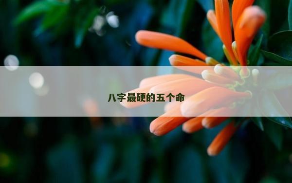 八字最硬的五个命