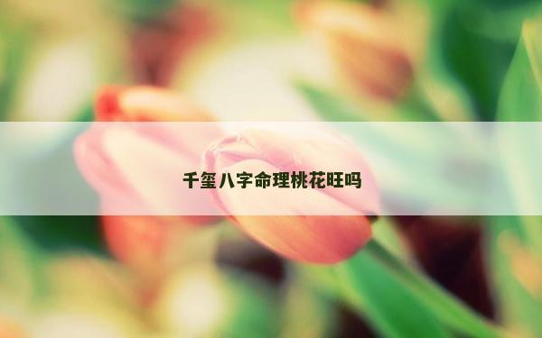千玺八字命理桃花旺吗