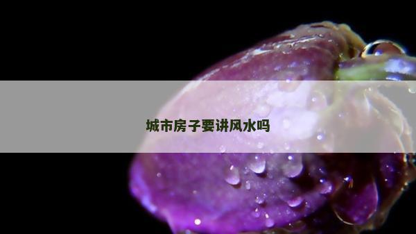 城市房子要讲风水吗