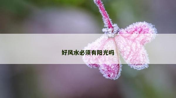好风水必须有阳光吗