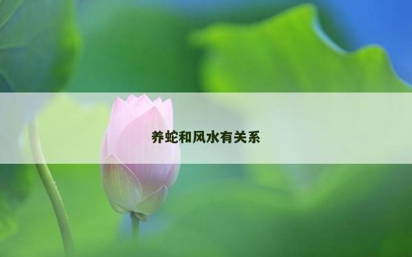 养蛇和风水有关系
