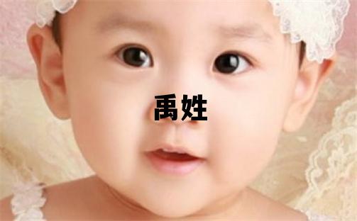 禹姓有涵养的男孩名字,取什么名字好