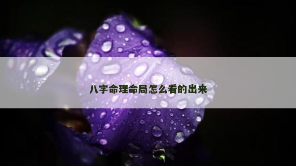 八字命理命局怎么看的出来