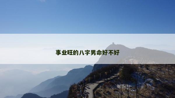 事业旺的八字男命好不好