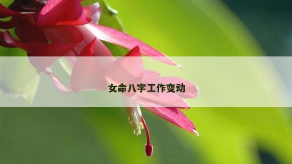 女命八字工作变动