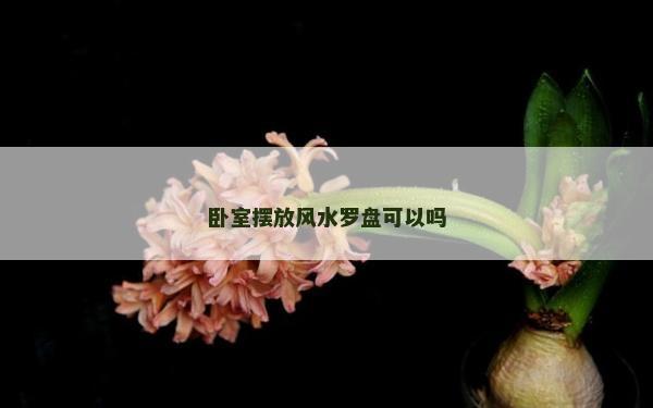 卧室摆放风水罗盘可以吗