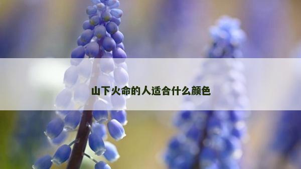 山下火命的人适合什么颜色