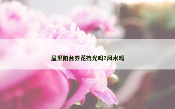 屋里阳台养花挡光吗?风水吗