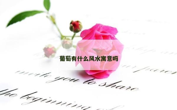 葡萄有什么风水寓意吗