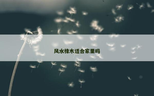 风水橡木适合家里吗