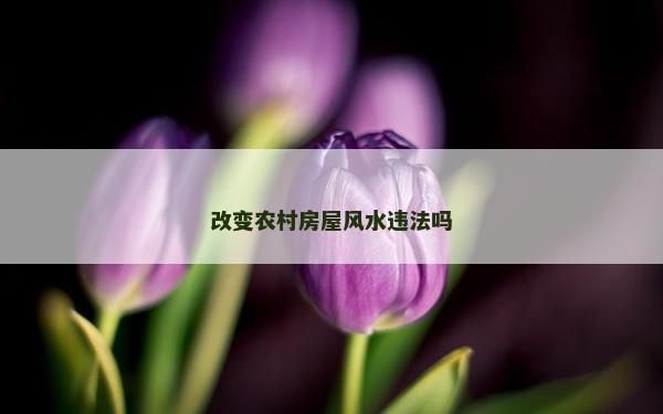 改变农村房屋风水违法吗