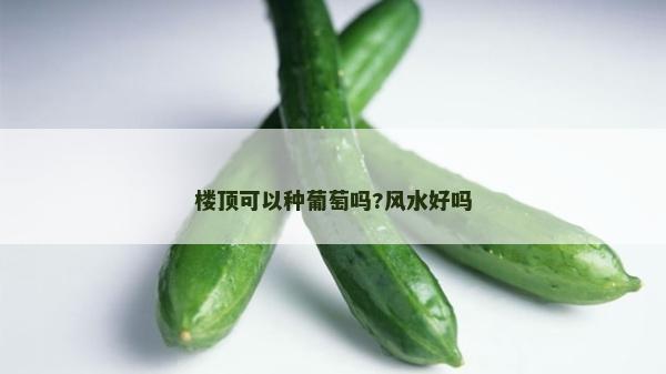 楼顶可以种葡萄吗?风水好吗