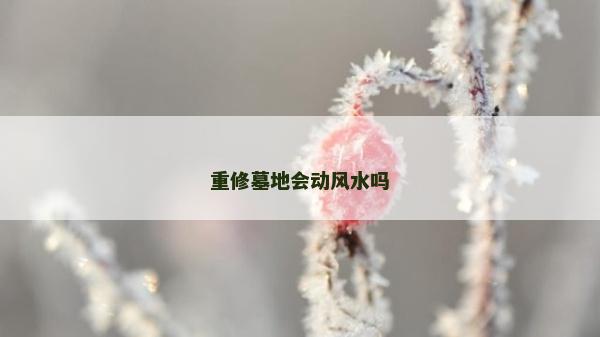 重修墓地会动风水吗