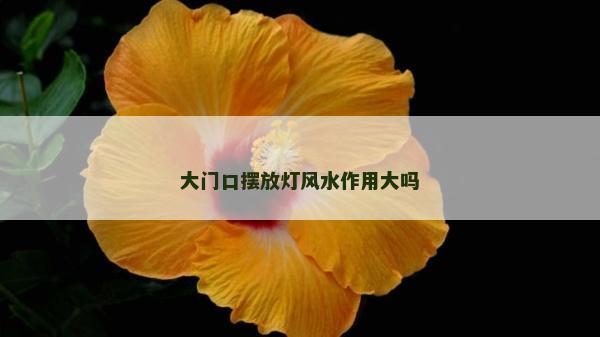 大门口摆放灯风水作用大吗