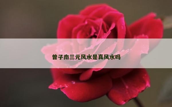 曾子南三元风水是真风水吗