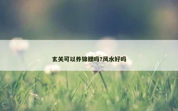 玄关可以养锦鲤吗?风水好吗