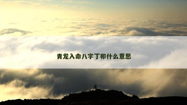 青龙入命八字丁卯什么意思