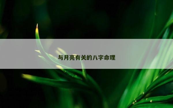 与月亮有关的八字命理