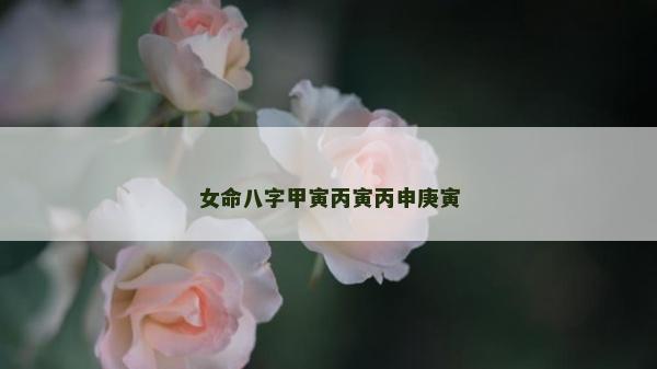 女命八字甲寅丙寅丙申庚寅