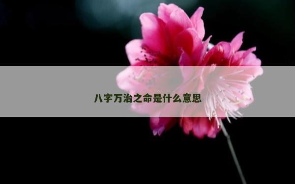 八字万治之命是什么意思