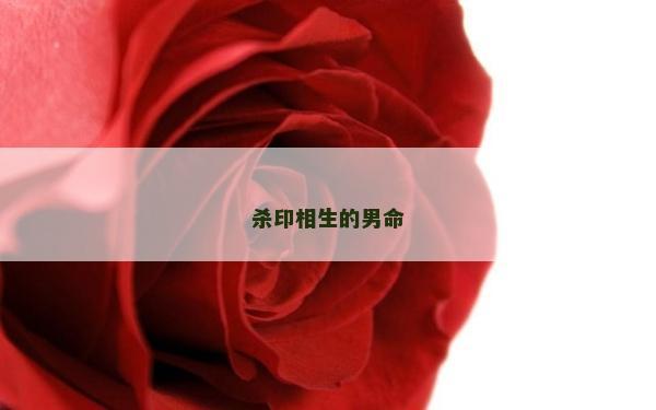 杀印相生的男命