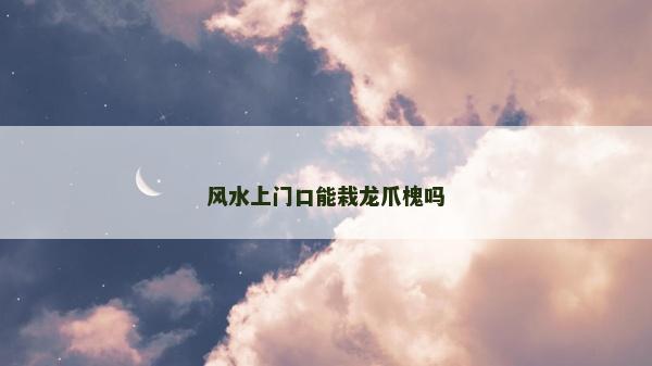 风水上门口能栽龙爪槐吗