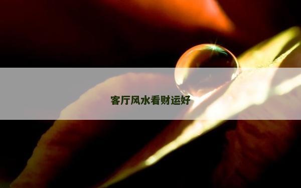 客厅风水看财运好