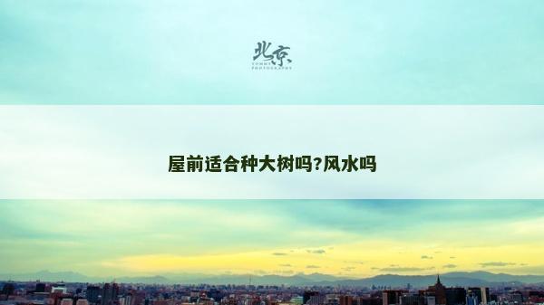 屋前适合种大树吗?风水吗