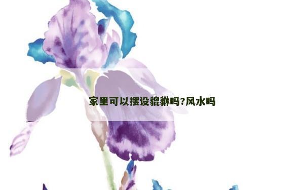 家里可以摆设貔貅吗?风水吗