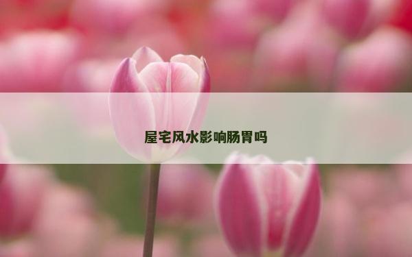 屋宅风水影响肠胃吗