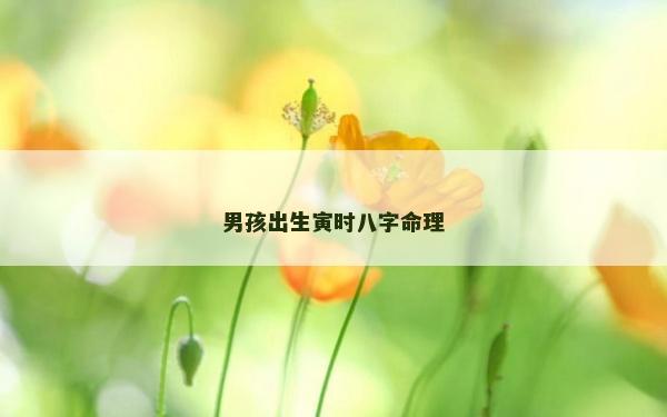 男孩出生寅时八字命理
