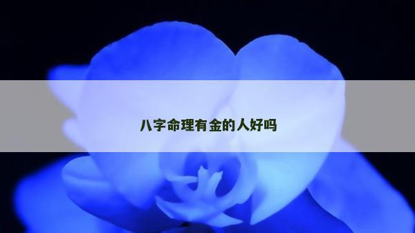 八字命理有金的人好吗